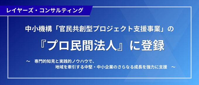 株式会社レイヤーズ・コンサルティング