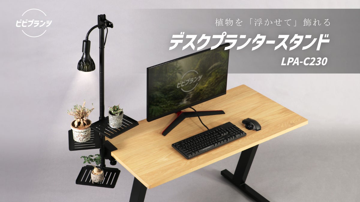 ビーズ株式会社