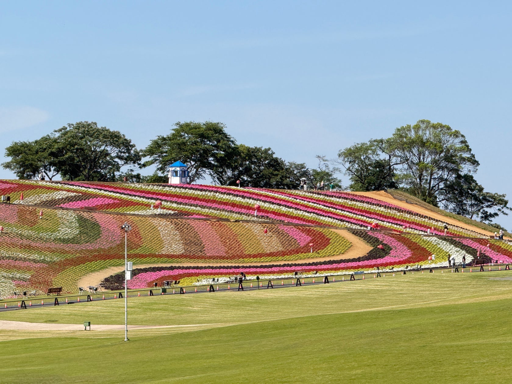 東京ドイツ村