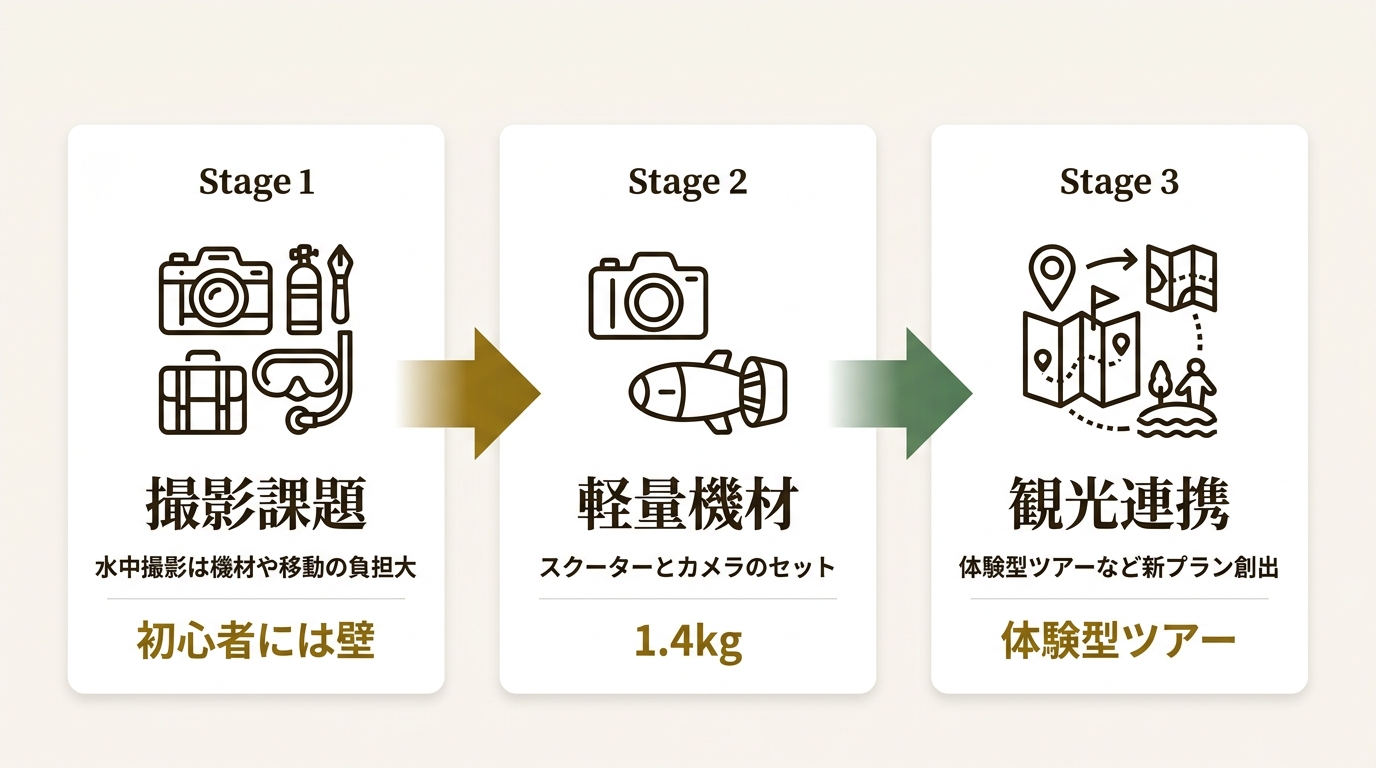 株式会社セキド ニュース要点の図解