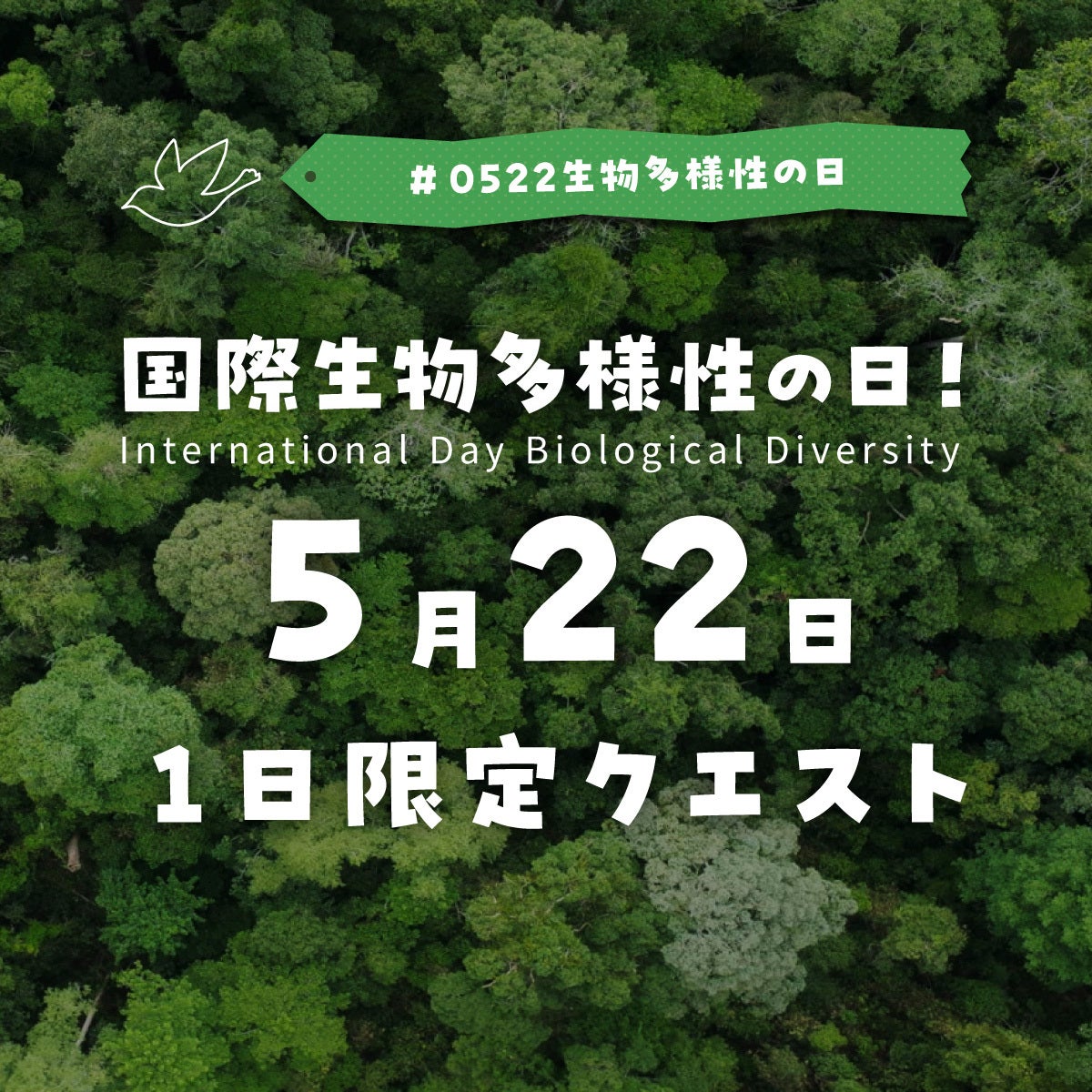 PR Times掲載画像