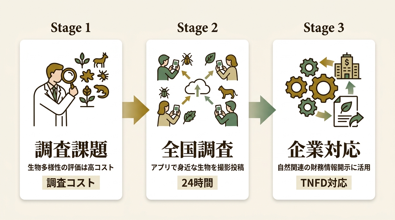 株式会社バイオーム ニュース要点の図解