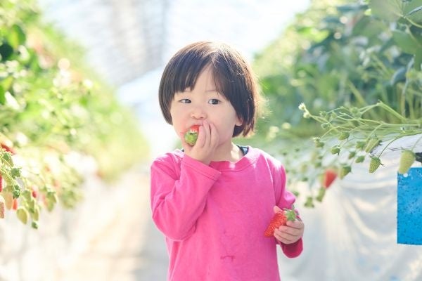ミニメドジャパン合同会社