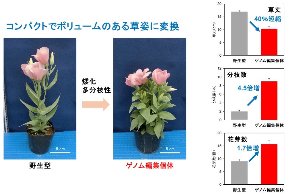 PR Times掲載画像