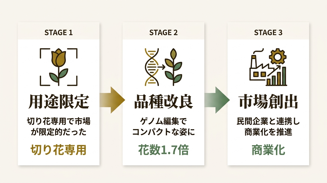 国立大学法人 静岡大学 ニュース要点の図解