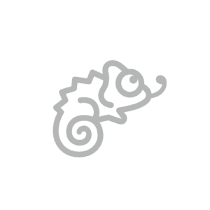 株式会社イマジナ ロゴ