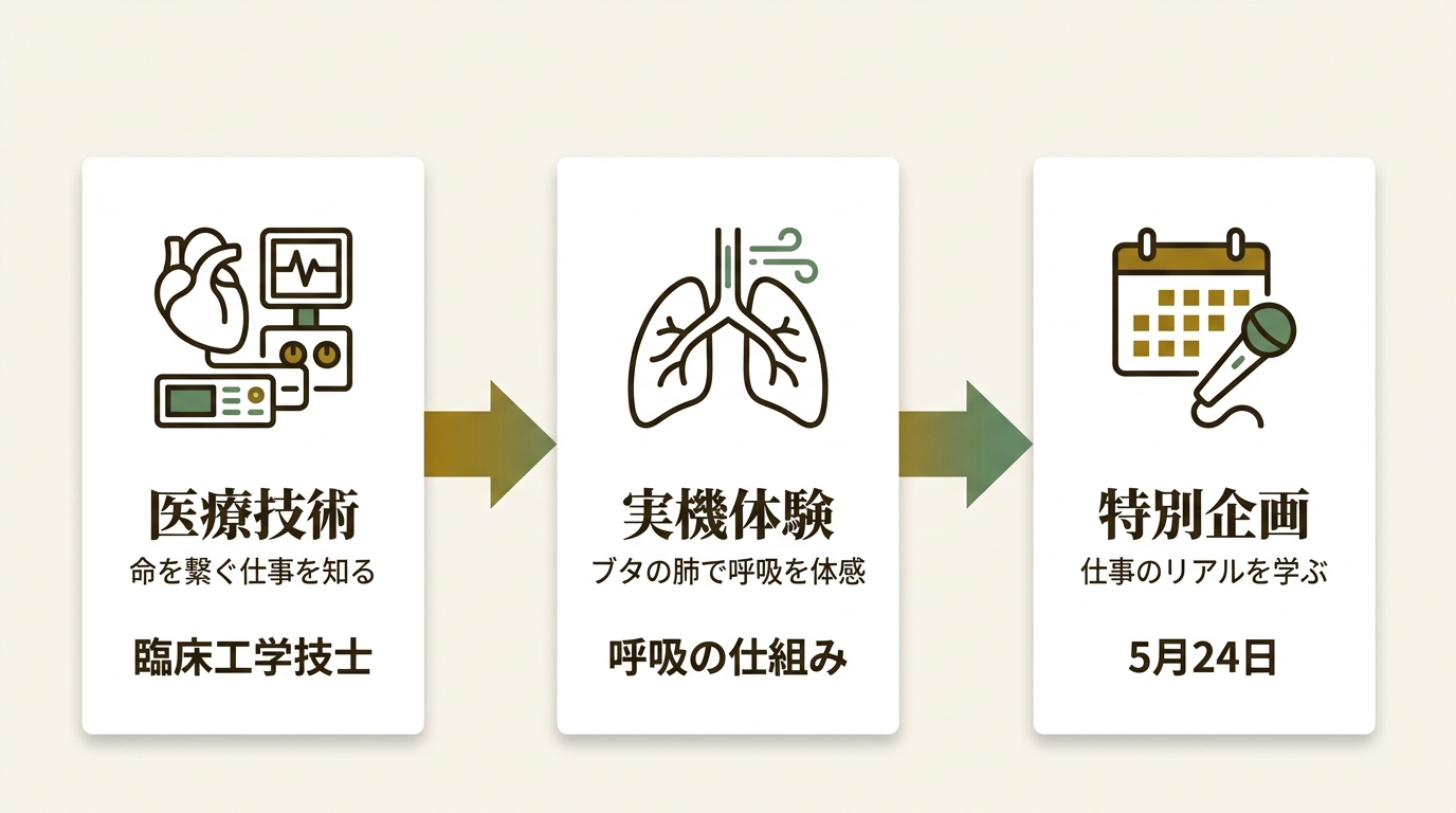 学校法人セムイ学園 ニュース要点の図解