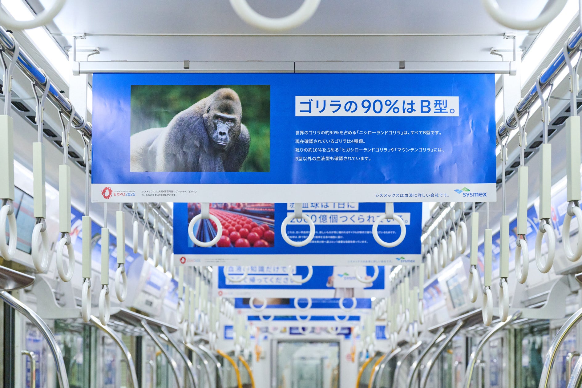 株式会社アマナ
