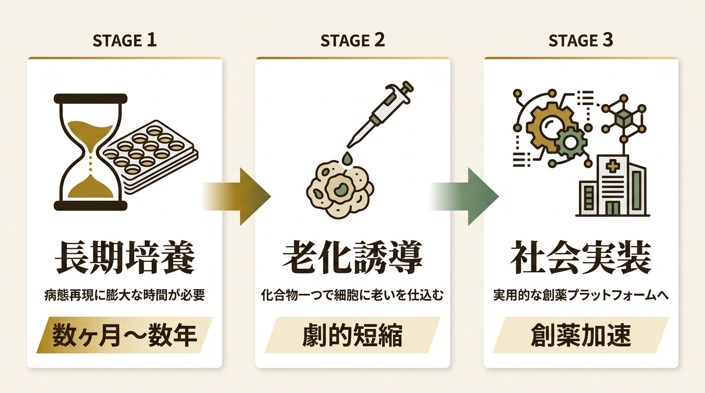 学校法人 順天堂 ニュース要点の図解