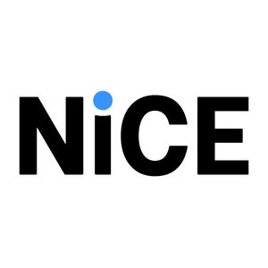 ナイスジャパン株式会社 ロゴ
