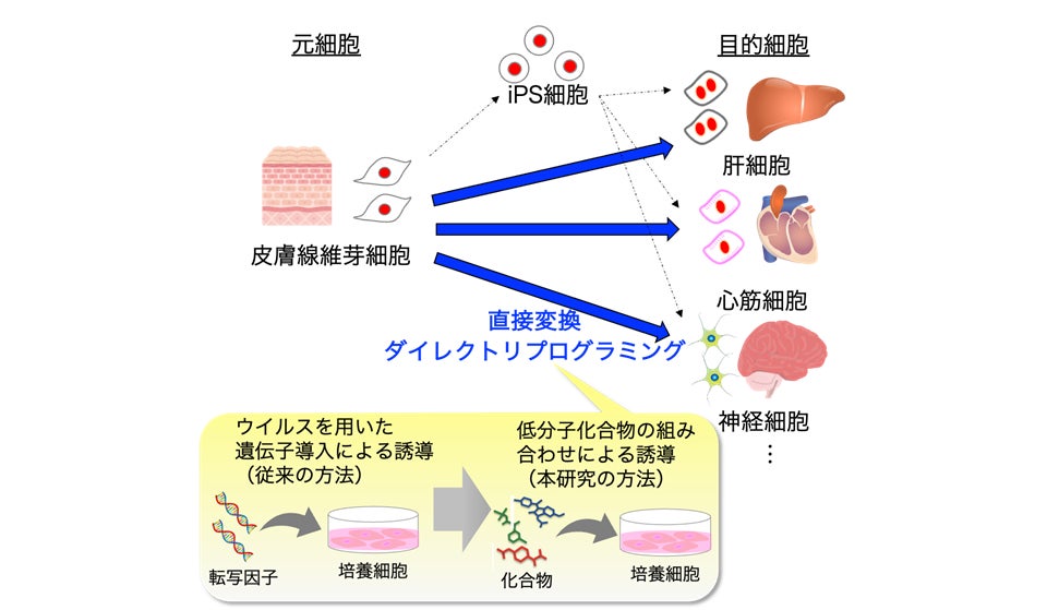 国立大学法人九州工業大学
