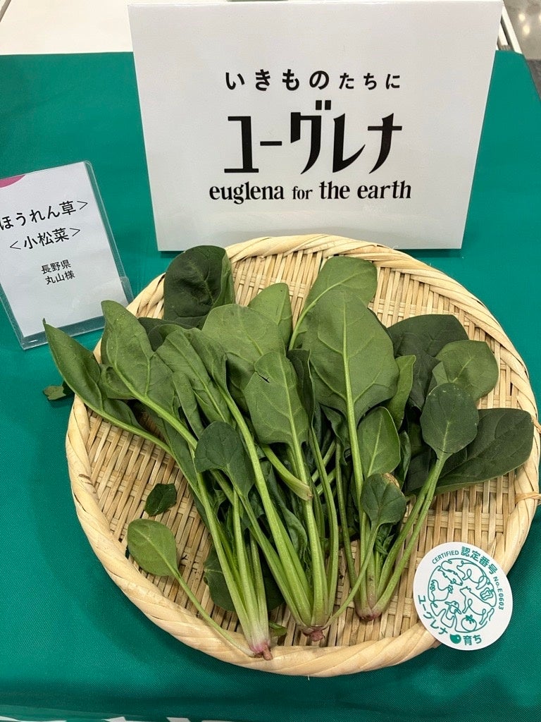 PR Times掲載画像